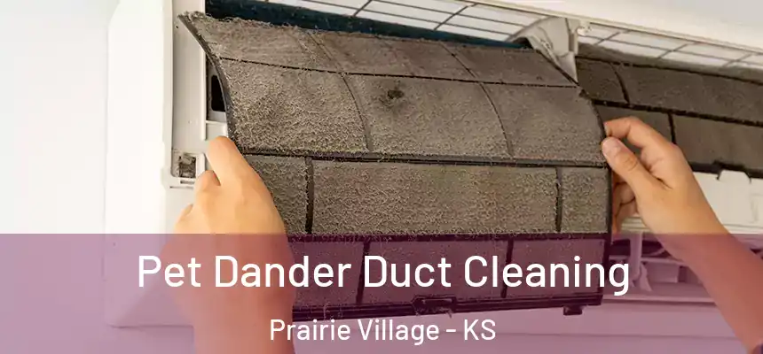  Pet Dander Duct Cleaning Prairie Village - KS