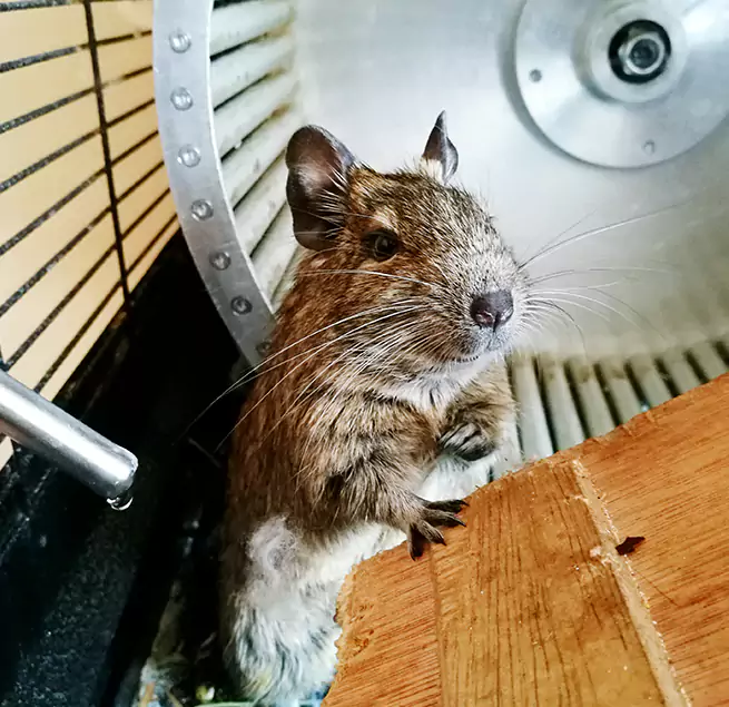 Why Homeowners & Businesses Trust Us Prairie Village, KS